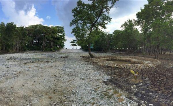 Large Lot with Beach Frontage at Little Bight
