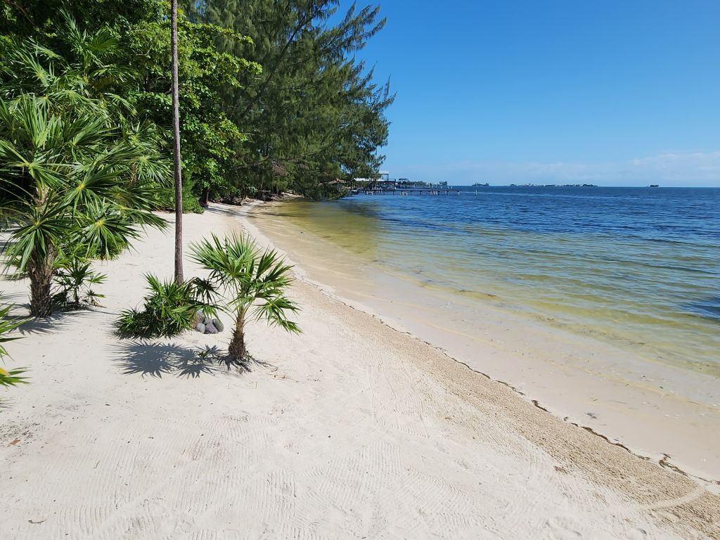 Listing ID: URE0473, Pine Point Utila, Bay Islands, HN - Driftwood Beach House, Photo #