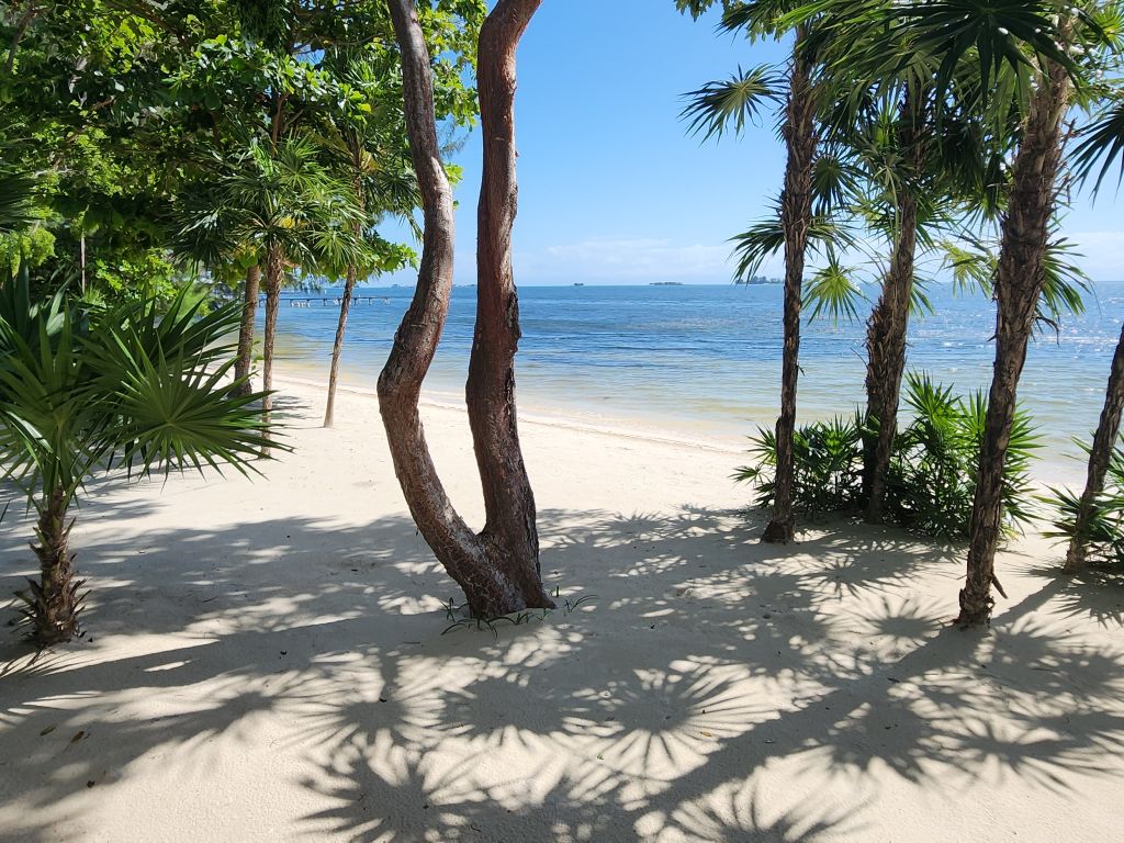 Listing ID: URE0473, Pine Point Utila, Bay Islands, HN - Driftwood Beach House, Photo #