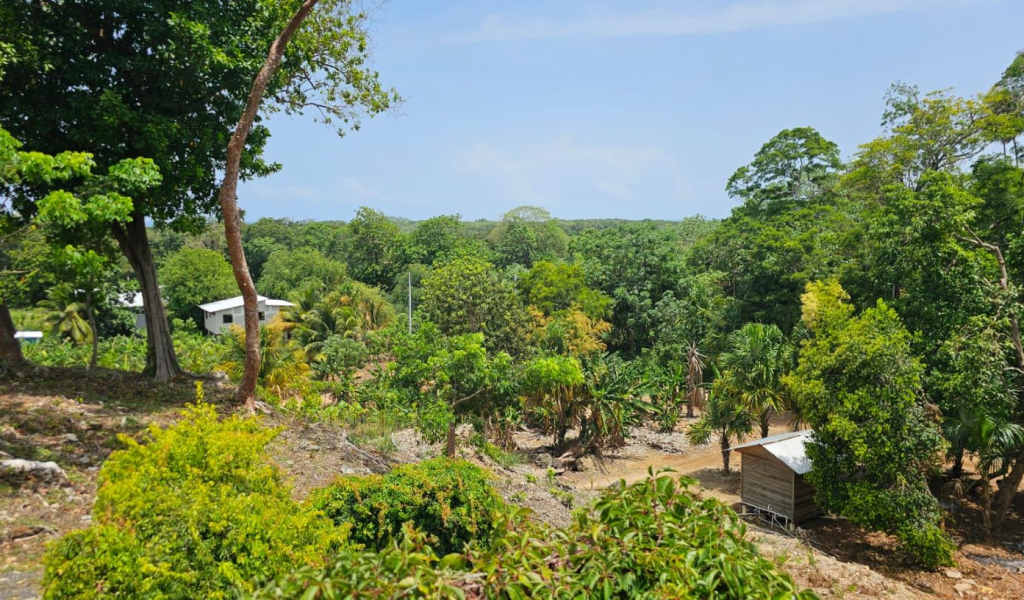 Listing ID: URE0482, New Jericho Utila, Bay Islands, HN - Casa Oceana, Photo #