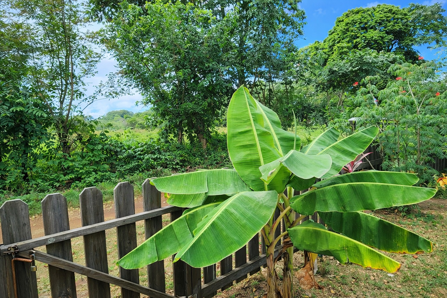 Listing ID: URE0486, Off airport road Utila, Bay Islands, HN - Blue Gem off the airport road, Photo #