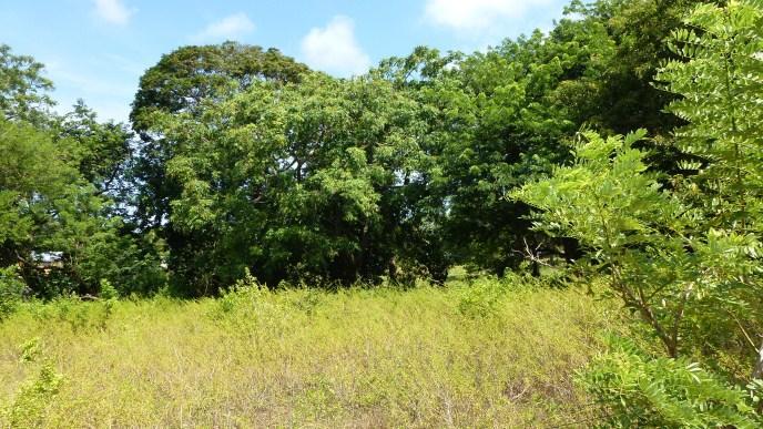 Listing ID: URE0495, Bambu Utila, Bay Islands, HN - Tropical Property At Bamboo Hill, Photo #