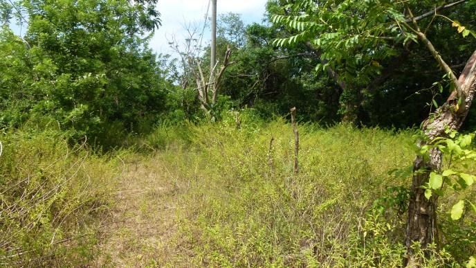 Listing ID: URE0495, Bambu Utila, Bay Islands, HN - Tropical Property At Bamboo Hill, Photo #