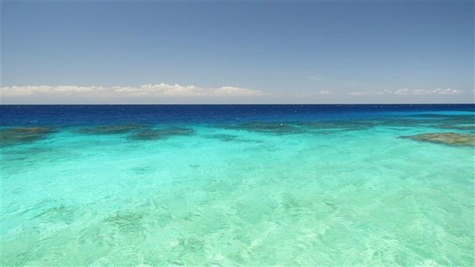 Listing ID: URE0578, Jack Neil Utila, Bay Islands, HN - Beach Front At Jack Neil Beach, Photo #
