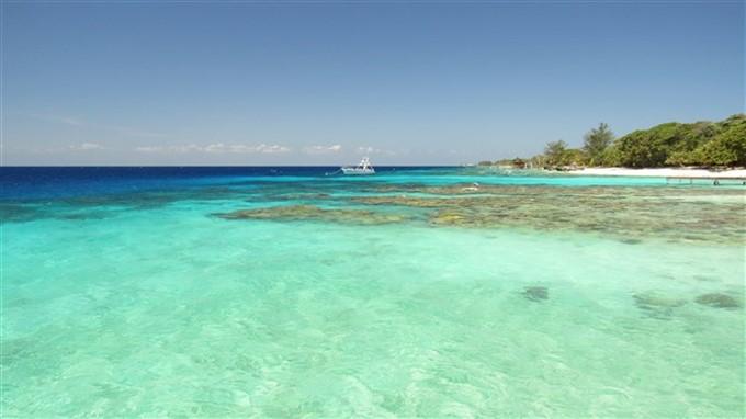 Listing ID: URE0578, Jack Neil Utila, Bay Islands, HN - Beach Front At Jack Neil Beach, Photo #