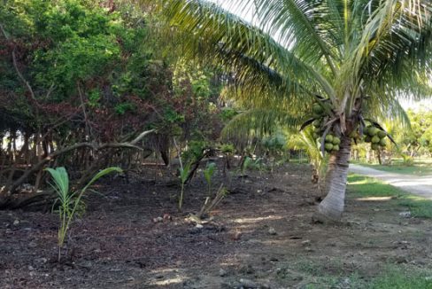 Listing ID: URE0620, Silver Gardens Utila, Bay Islands, HN - 0.375 Acre Beachfront Lot At Silver Garden, Photo #