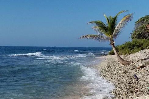 Listing ID: URE0620, Silver Gardens Utila, Bay Islands, HN - 0.375 Acre Beachfront Lot At Silver Garden, Photo #