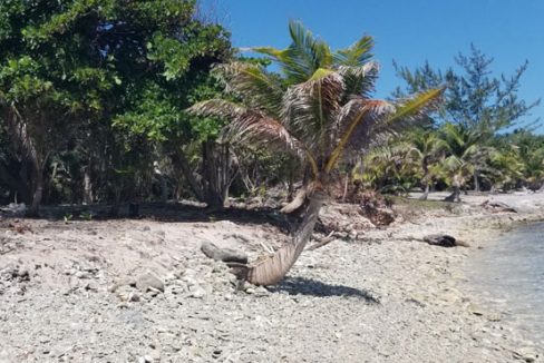 Listing ID: URE0620, Silver Gardens Utila, Bay Islands, HN - 0.375 Acre Beachfront Lot At Silver Garden, Photo #