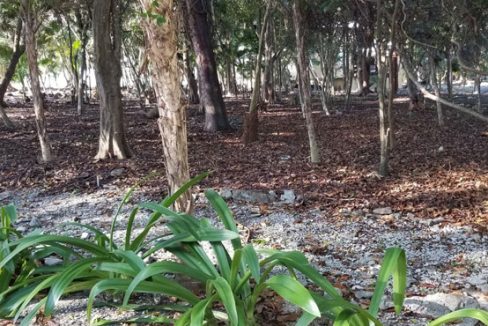 Listing ID: URE0620, Silver Gardens Utila, Bay Islands, HN - 0.375 Acre Beachfront Lot At Silver Garden, Photo #