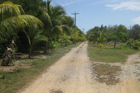 Listing ID: URE0620, Silver Gardens Utila, Bay Islands, HN - 0.375 Acre Beachfront Lot At Silver Garden, Photo #