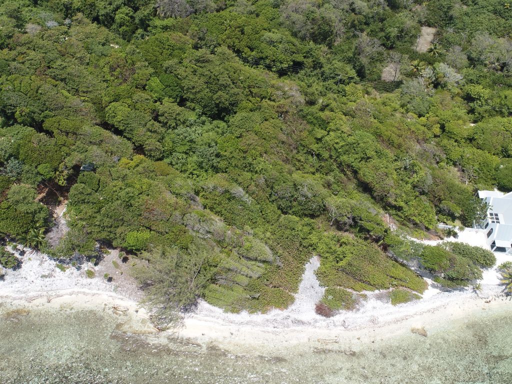 Listing ID: URE0636, Big Rock Utila, Bay Islands, HN - Big Rock Lot #2, Photo #