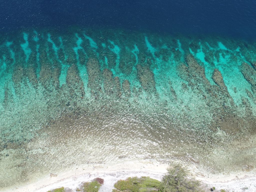 Listing ID: URE0636, Big Rock Utila, Bay Islands, HN - Big Rock Lot #2, Photo #