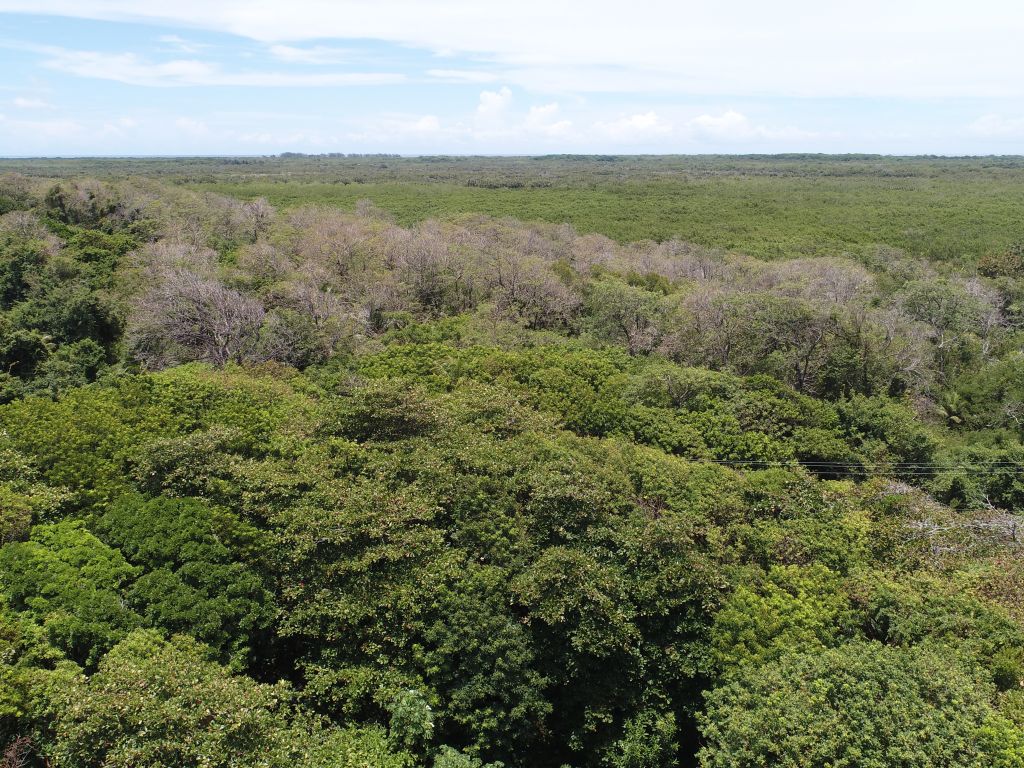 Listing ID: URE0636, Big Rock Utila, Bay Islands, HN - Big Rock Lot #2, Photo #