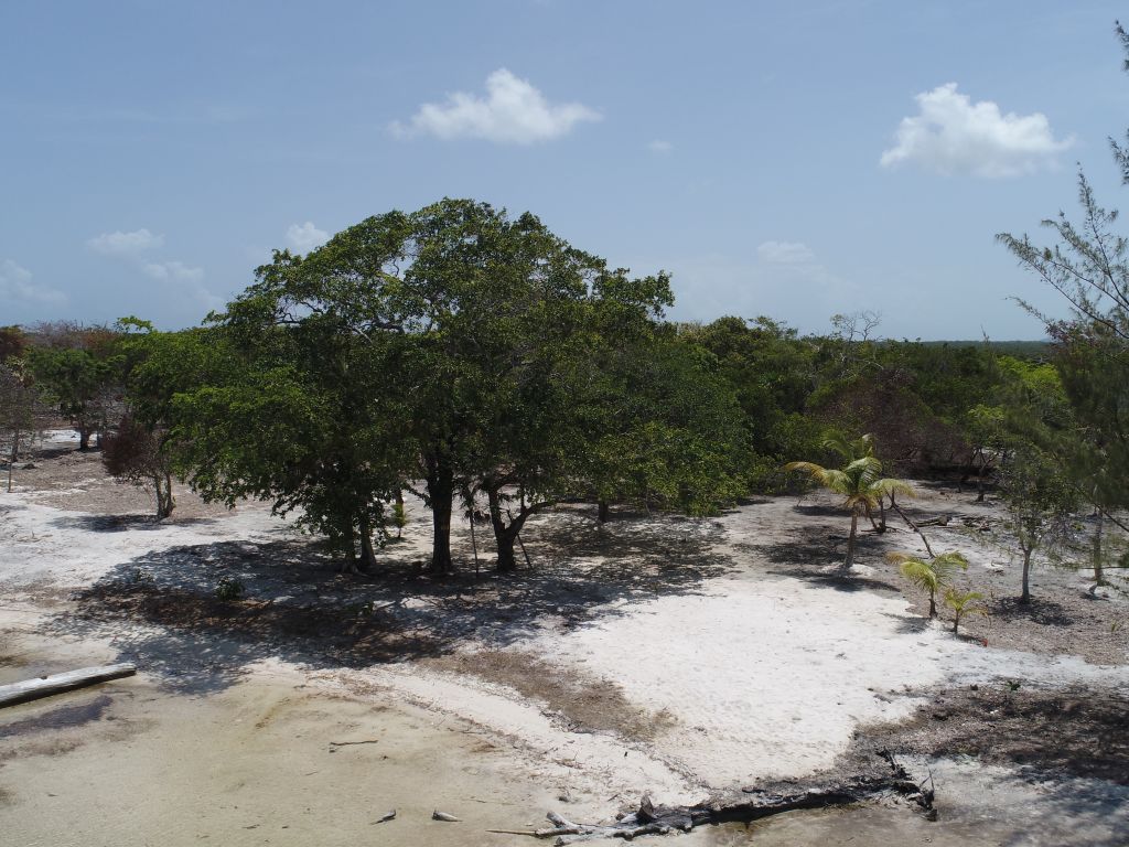 Listing ID: URE0647, David's Beach Utila, Bay Islands, HN - Sunset Shore, Lot 16, Photo #