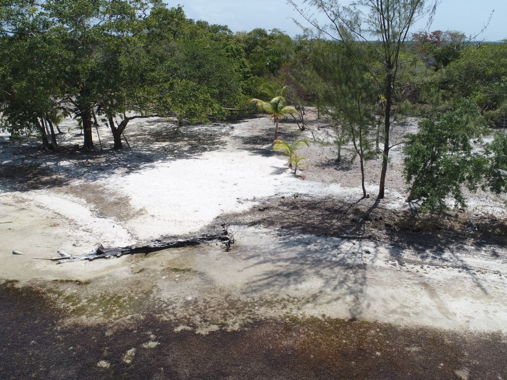 Listing ID: URE0647, David's Beach Utila, Bay Islands, HN - Sunset Shore, Lot 16, Photo #