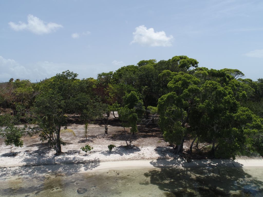 Listing ID: URE0647, David's Beach Utila, Bay Islands, HN - Sunset Shore, Lot 16, Photo #