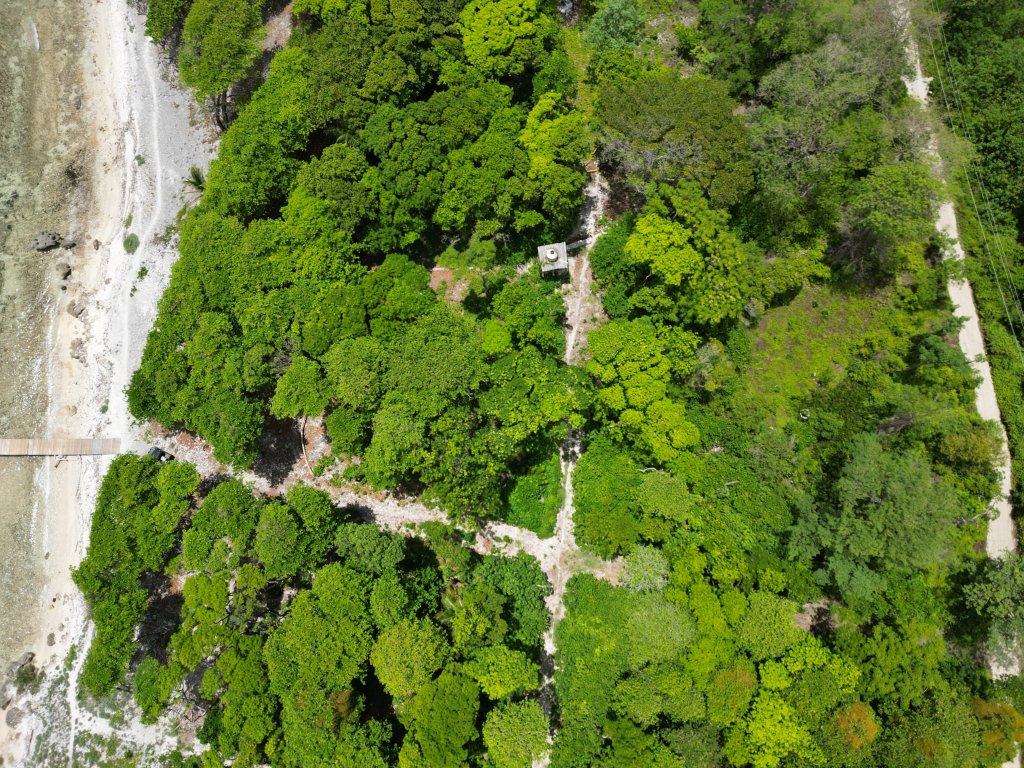 Listing ID: URE0663, Big Rock Utila, Bay Islands, HN - Big Rock, Oceanfront, Lot 13, Photo #