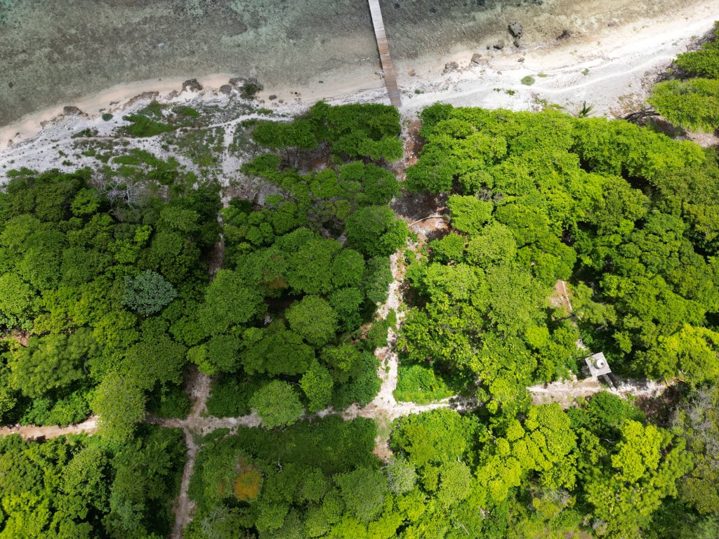 Listing ID: URE0663, Big Rock Utila, Bay Islands, HN - Big Rock, Oceanfront, Lot 13, Photo #