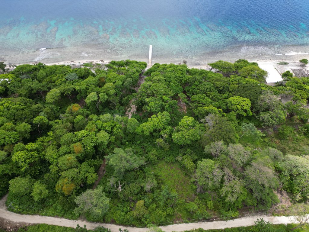 Listing ID: URE0663, Big Rock Utila, Bay Islands, HN - Big Rock, Oceanfront, Lot 13, Photo #