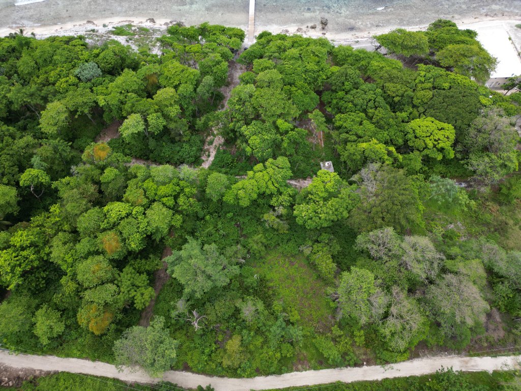 Listing ID: URE0663, Big Rock Utila, Bay Islands, HN - Big Rock, Oceanfront, Lot 13, Photo #