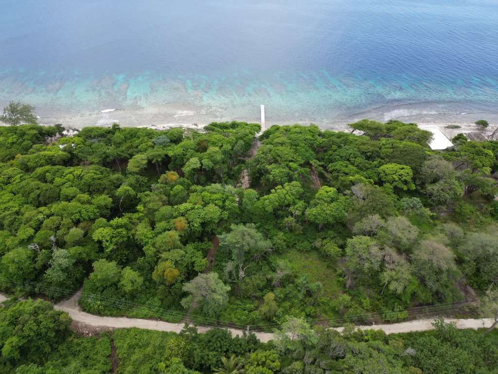 Listing ID: URE0663, Big Rock Utila, Bay Islands, HN - Big Rock, Oceanfront, Lot 13, Photo #