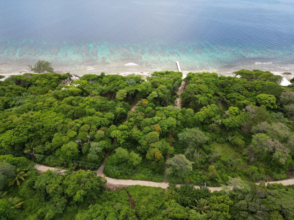 Listing ID: URE0663, Big Rock Utila, Bay Islands, HN - Big Rock, Oceanfront, Lot 13, Photo #