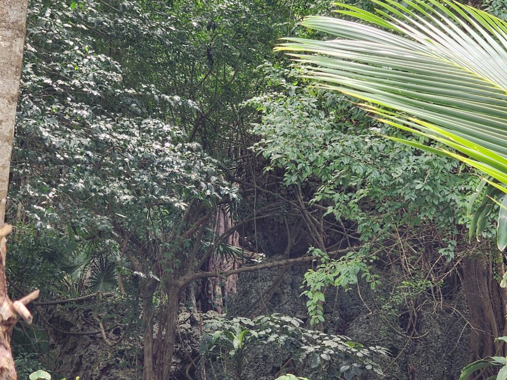 Listing ID: URE0669, Pumpkin Hill Utila, Bay Islands, HN - Bat Cave Splendor, Photo #