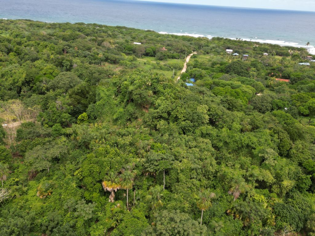 Listing ID: URE0669, Pumpkin Hill Utila, Bay Islands, HN - Bat Cave Splendor, Photo #