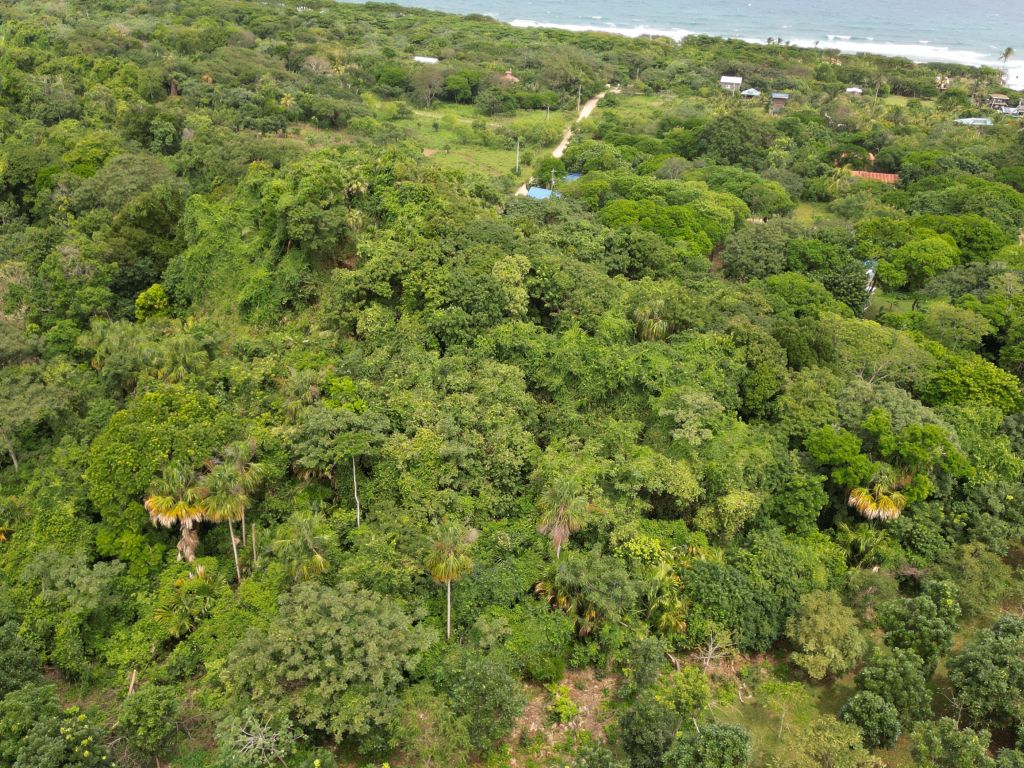 Listing ID: URE0669, Pumpkin Hill Utila, Bay Islands, HN - Bat Cave Splendor, Photo #