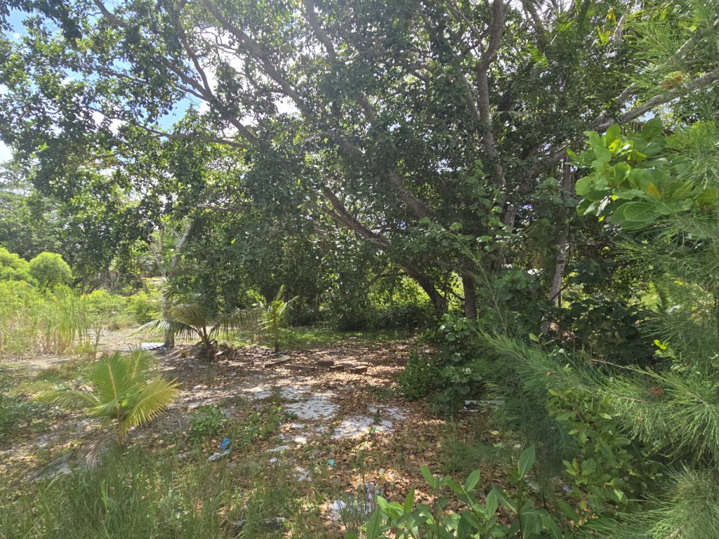 Listing ID: URE0678, David's Beach Utila, Bay Islands, HN - Sunset Shores With Dock & Boat Slip, Photo #