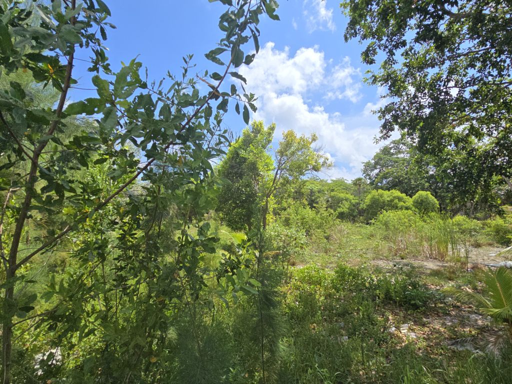 Listing ID: URE0678, David's Beach Utila, Bay Islands, HN - Sunset Shores With Dock & Boat Slip, Photo #