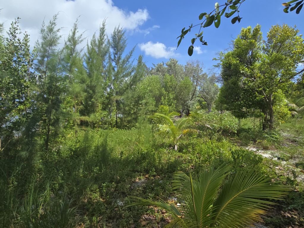 Listing ID: URE0678, David's Beach Utila, Bay Islands, HN - Sunset Shores With Dock & Boat Slip, Photo #