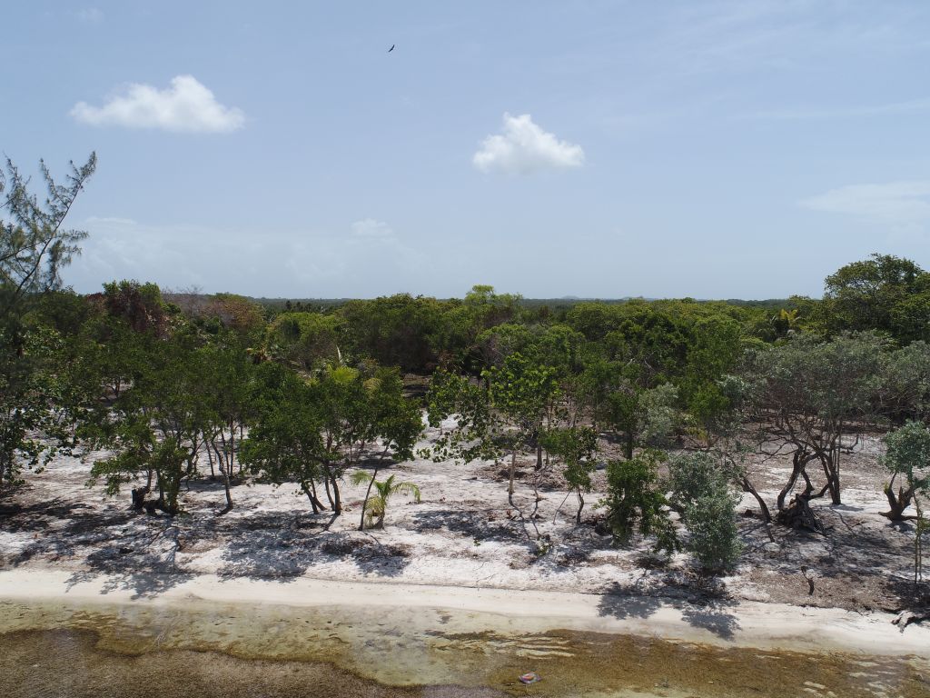 Listing ID: URE0687, David's Beach Utila, Bay Islands, HN - Sunset Shore, Lot 4, Photo #