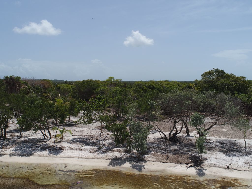 Listing ID: URE0687, David's Beach Utila, Bay Islands, HN - Sunset Shore, Lot 4, Photo #
