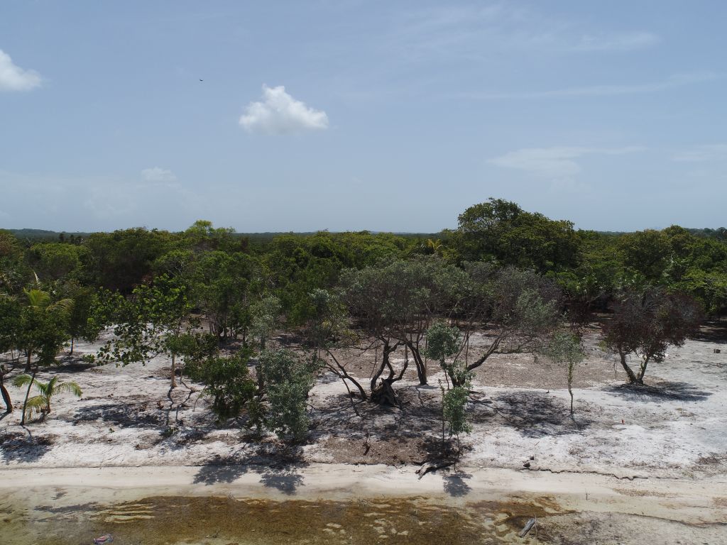 Listing ID: URE0687, David's Beach Utila, Bay Islands, HN - Sunset Shore, Lot 4, Photo #