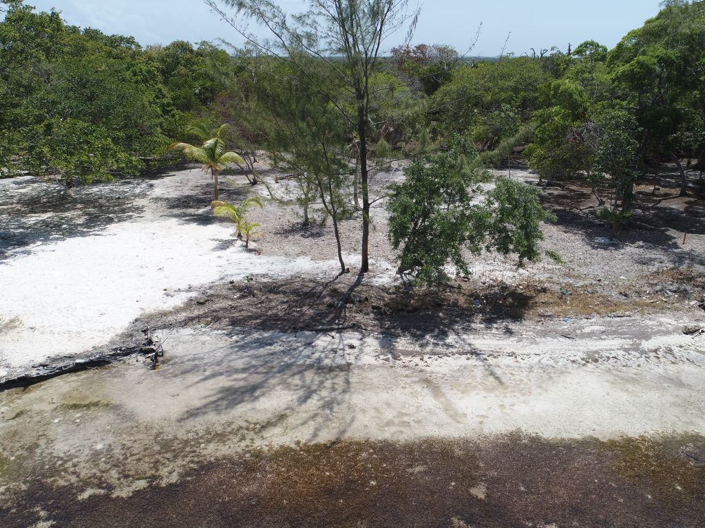 Listing ID: URE0687, David's Beach Utila, Bay Islands, HN - Sunset Shore, Lot 4, Photo #