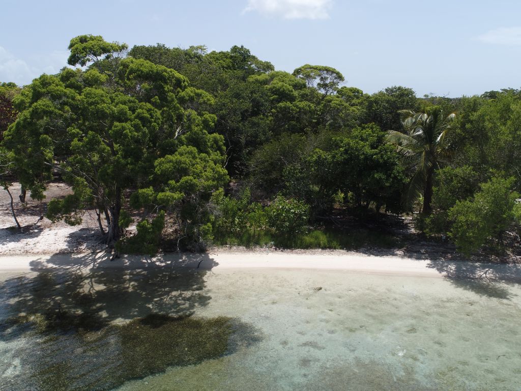 Listing ID: URE0687, David's Beach Utila, Bay Islands, HN - Sunset Shore, Lot 4, Photo #