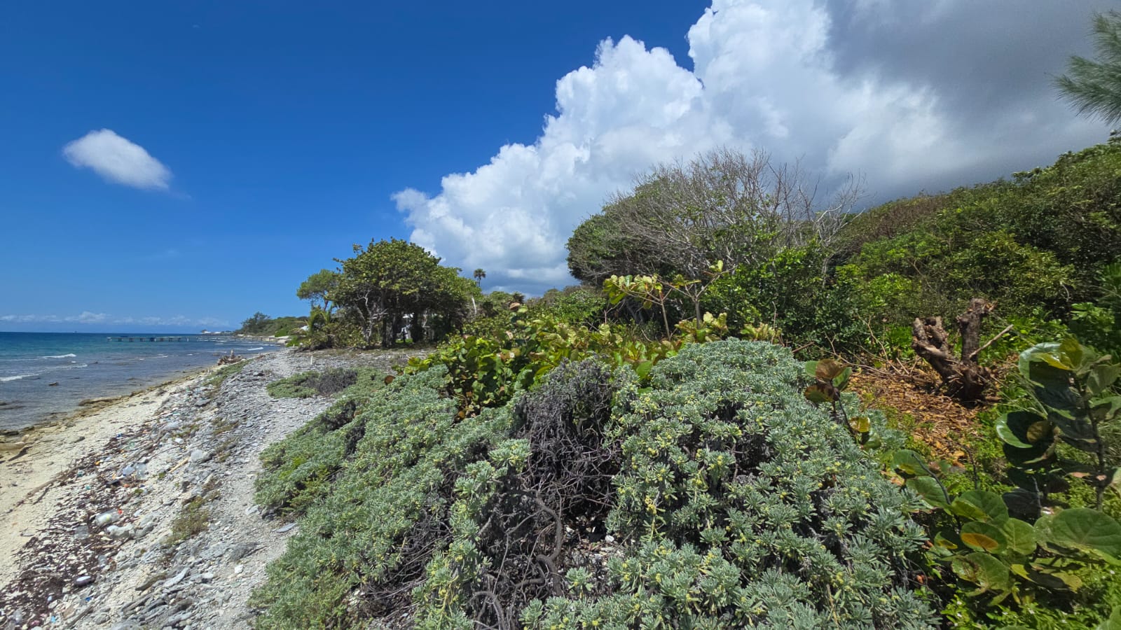 Listing ID: URE0691, Big Rock Utila, Bay Islands, HN - Big Rock oceanfront and back Lot with covered boat slip with bodega, Photo #