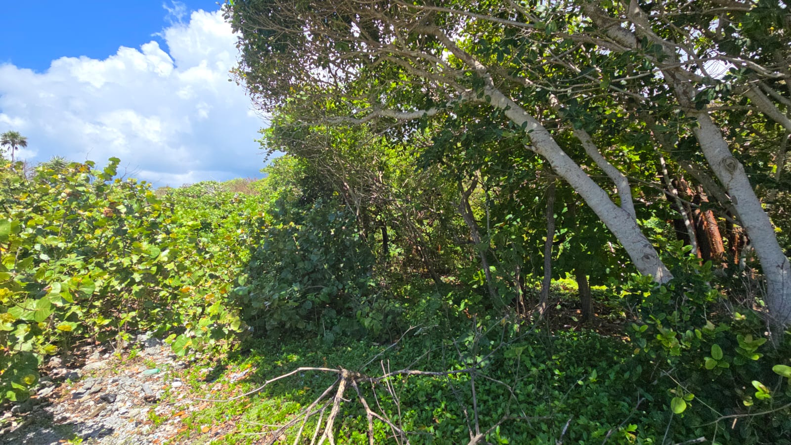 Listing ID: URE0691, Big Rock Utila, Bay Islands, HN - Big Rock oceanfront and back Lot with covered boat slip with bodega, Photo #