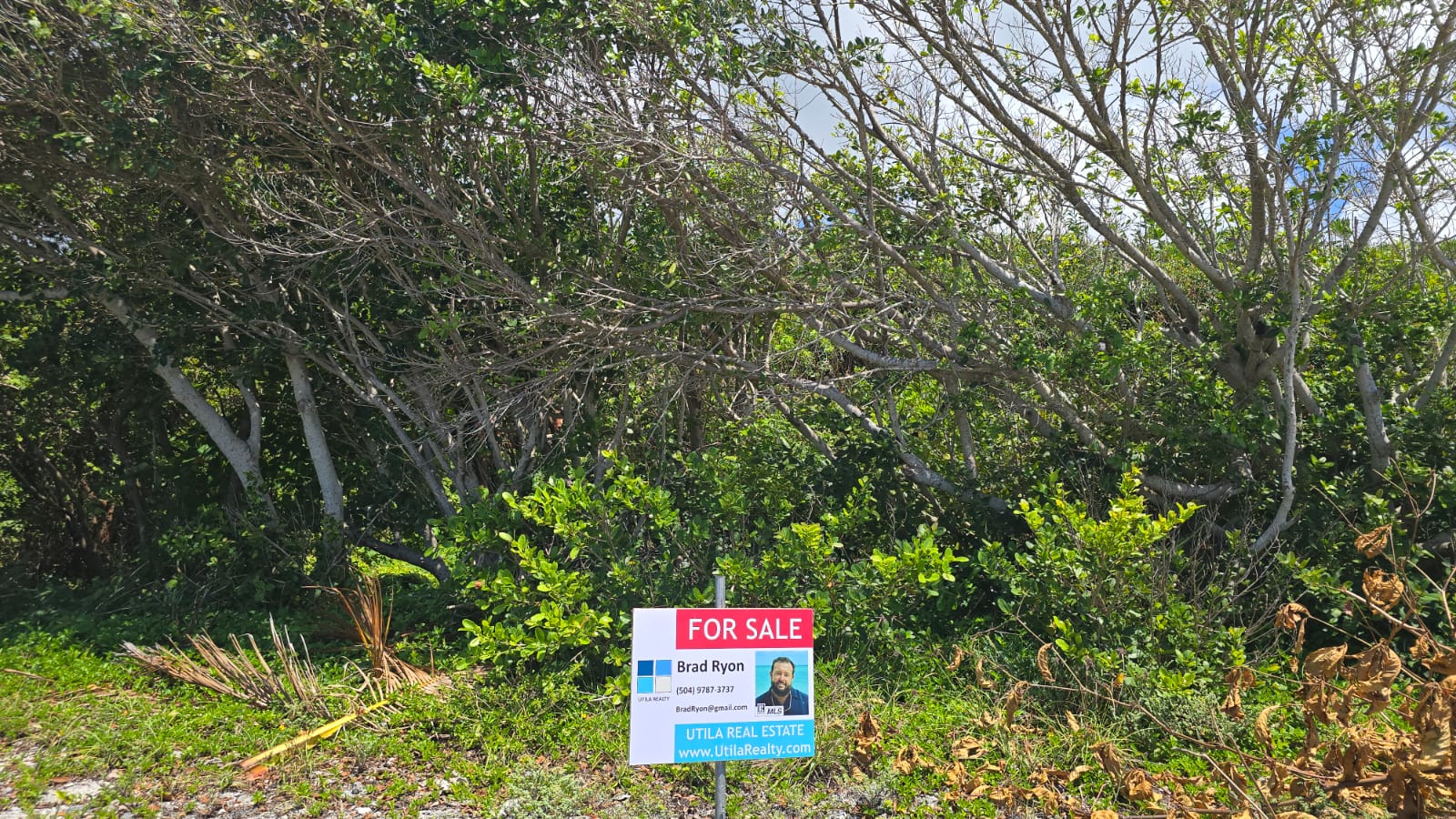 Listing ID: URE0691, Big Rock Utila, Bay Islands, HN - Big Rock oceanfront and back Lot with covered boat slip with bodega, Photo #