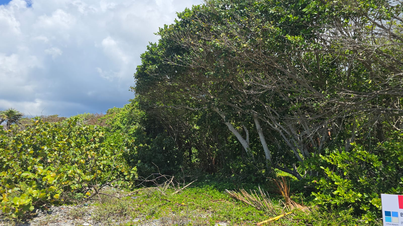 Listing ID: URE0691, Big Rock Utila, Bay Islands, HN - Big Rock oceanfront and back Lot with covered boat slip with bodega, Photo #