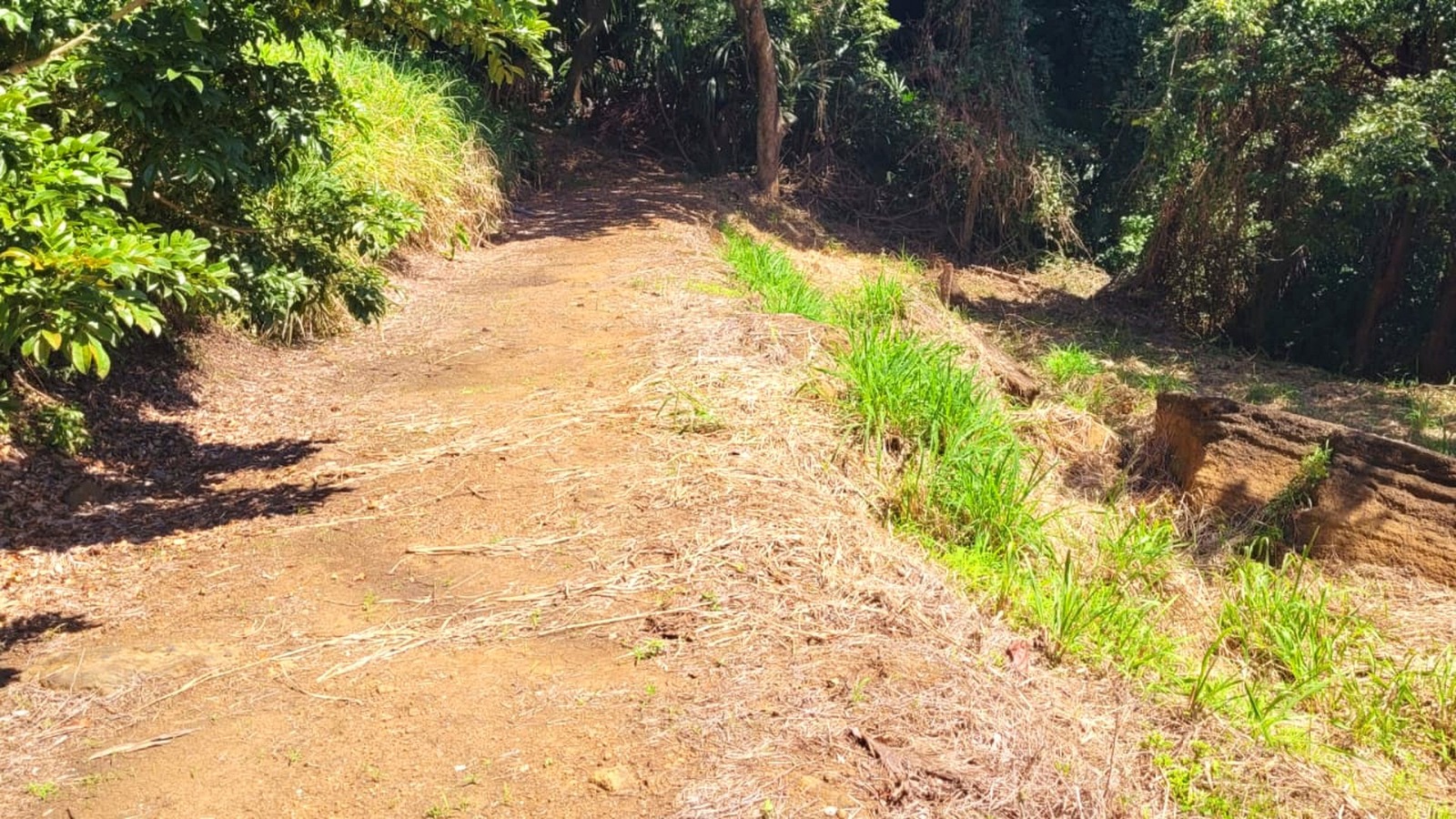 Lot For sale - Utila, Bay Islands - Listing ID: URE0698 - Photo