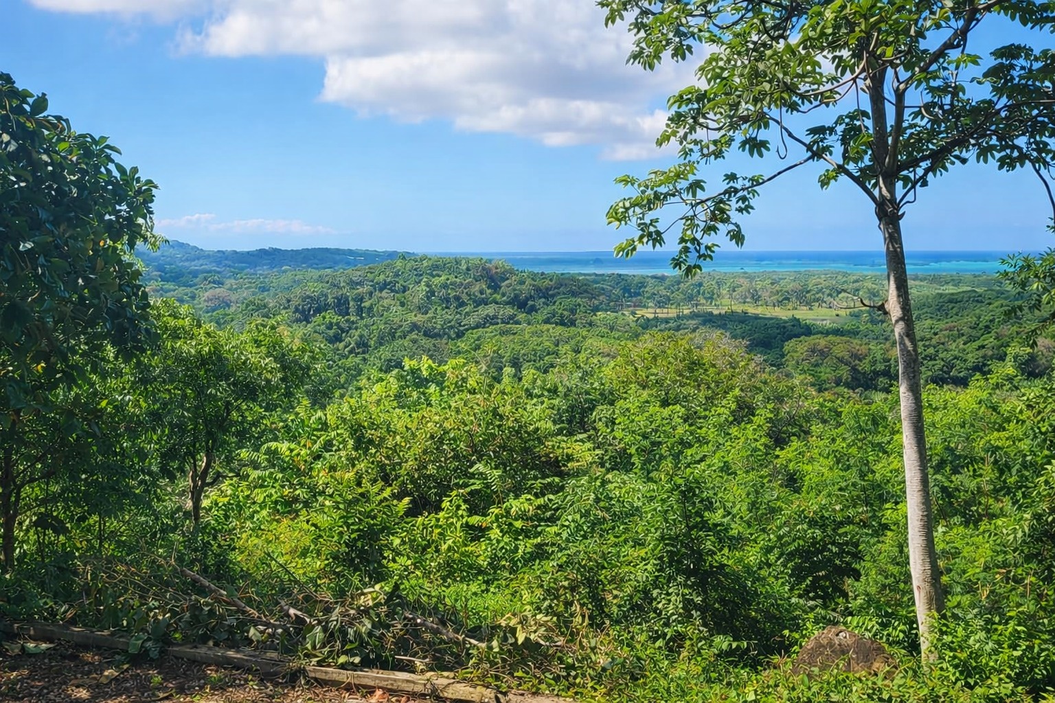 Listing ID: URE0699, sadasda Utila, Bay Islands, HN - North View Pumpkin Hill Lot, Photo #