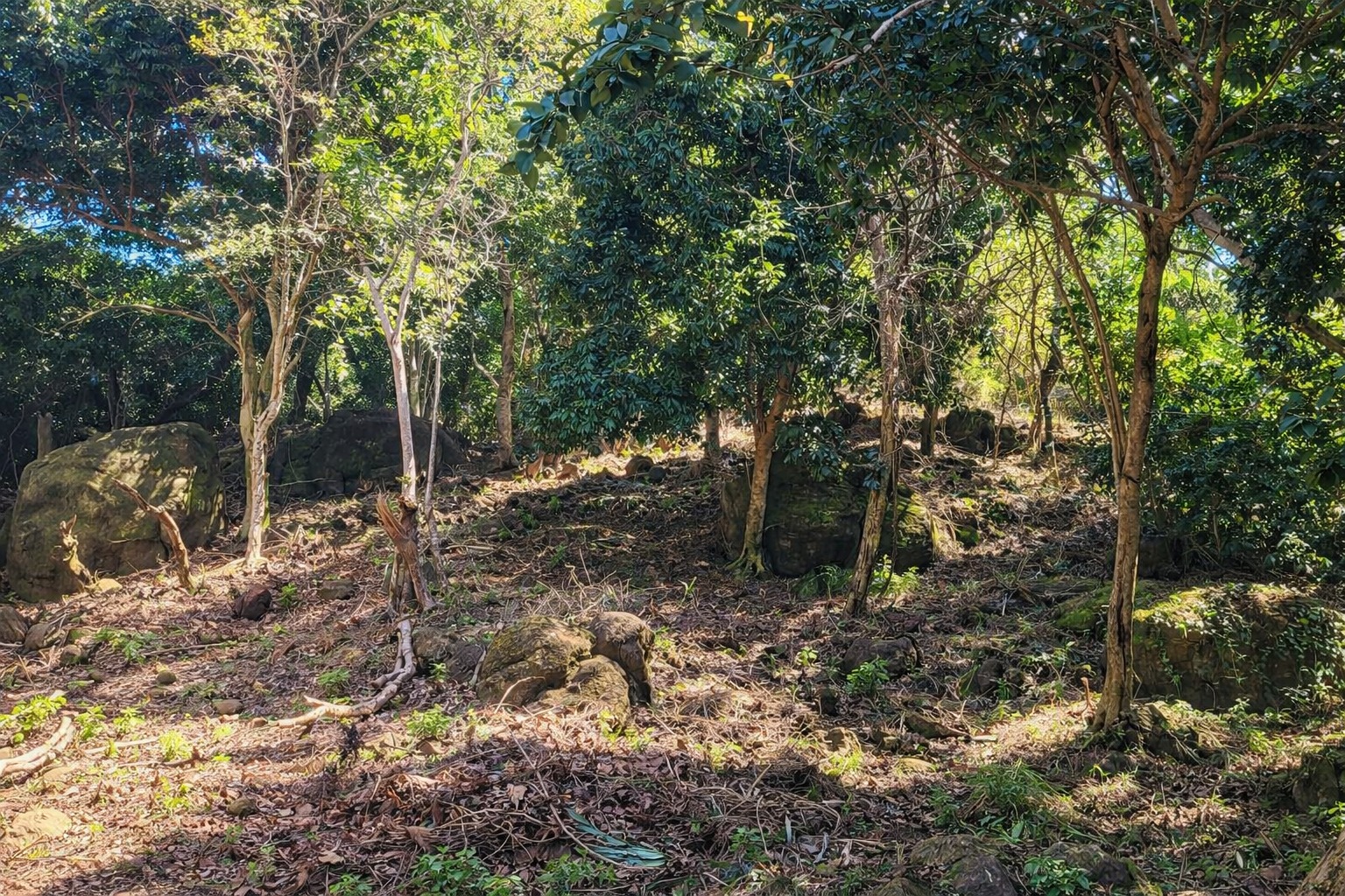 Listing ID: URE0699, sadasda Utila, Bay Islands, HN - North View Pumpkin Hill Lot, Photo #