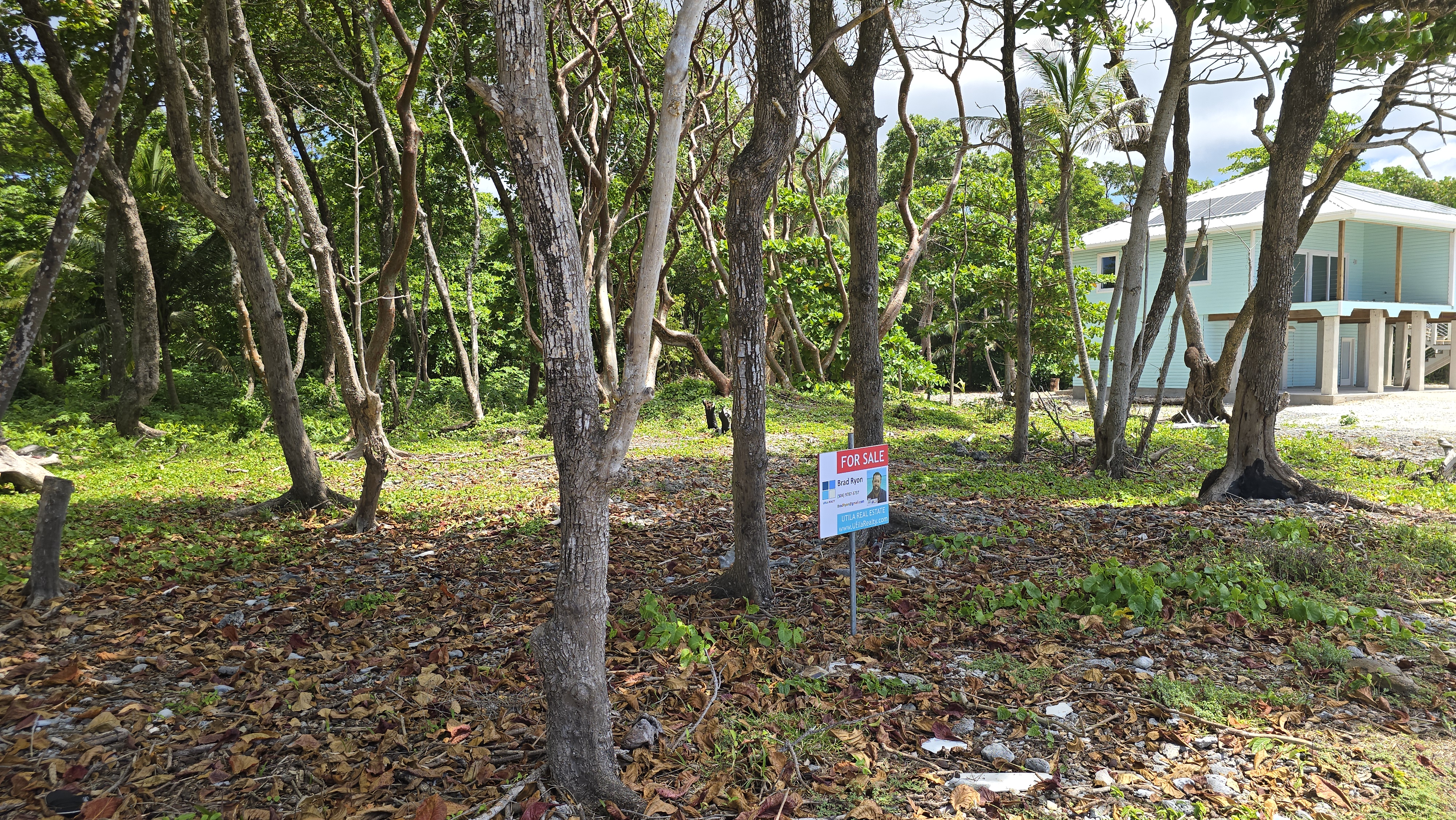 Listing ID: URE0700, Big Rock Utila, Bay Islands, HN - Big Rock Oceanfront Lot No.10, Photo #