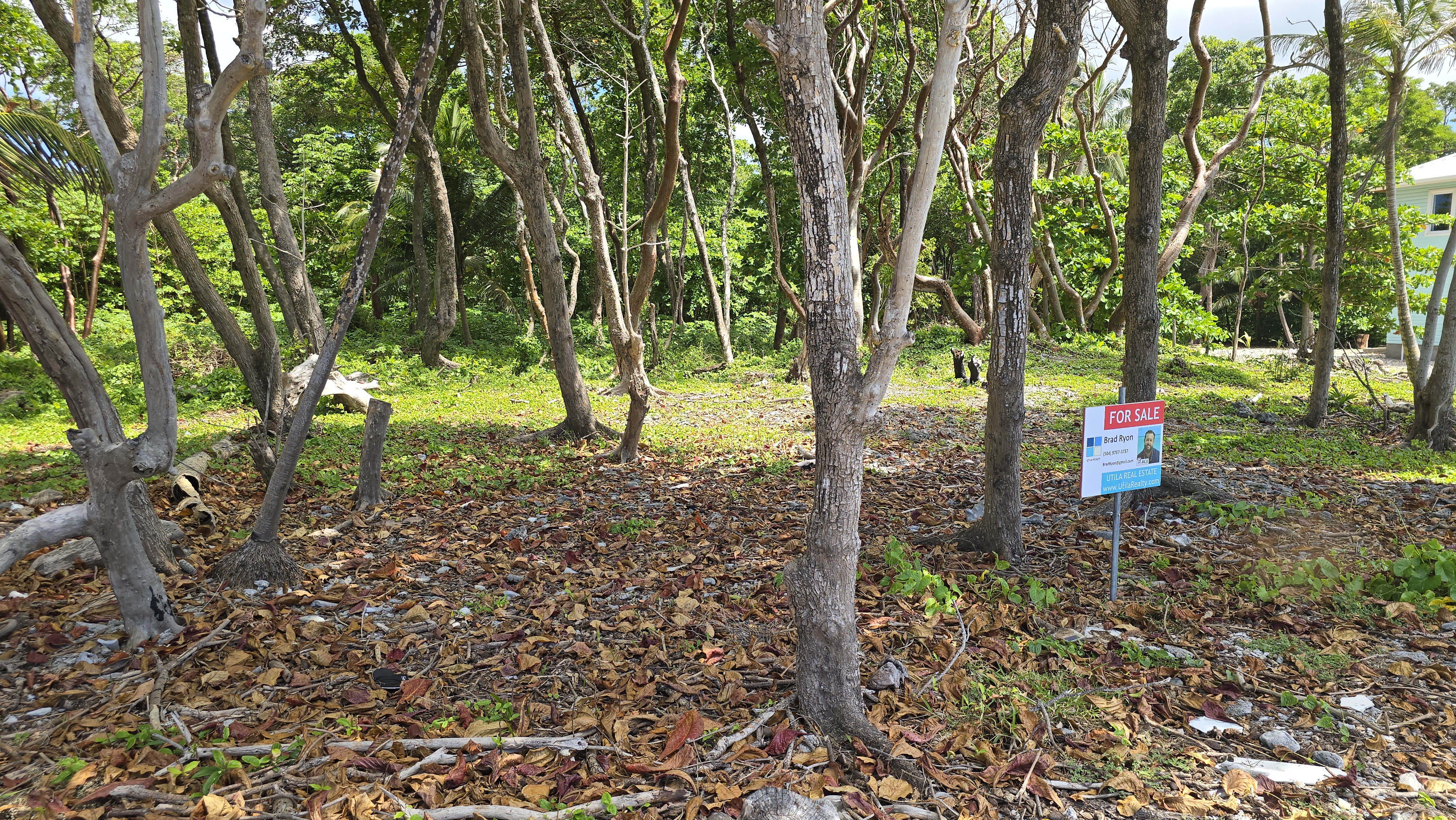 Listing ID: URE0700, Big Rock Utila, Bay Islands, HN - Big Rock Oceanfront Lot No.10, Photo #