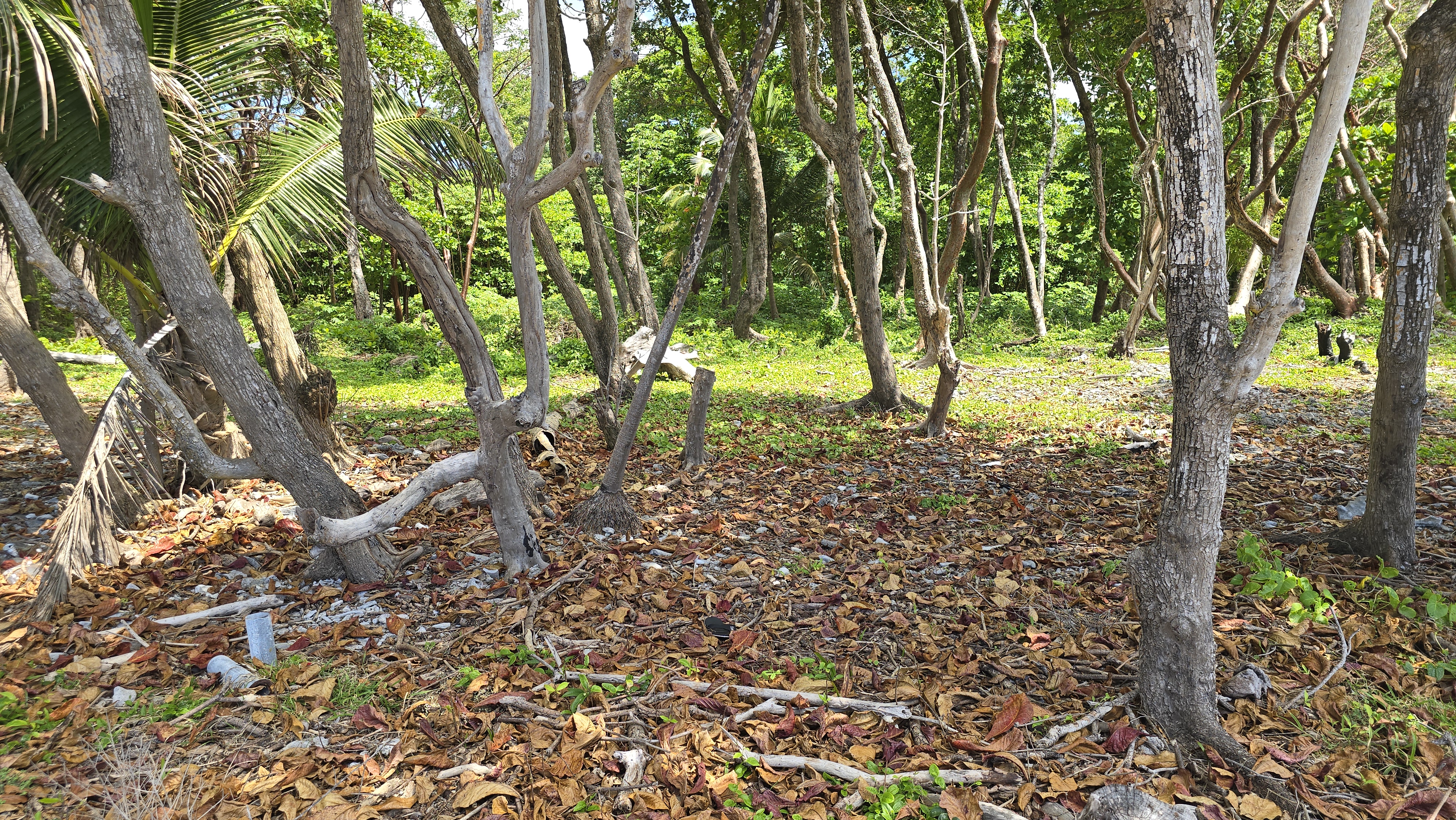 Listing ID: URE0700, Big Rock Utila, Bay Islands, HN - Big Rock Oceanfront Lot No.10, Photo #