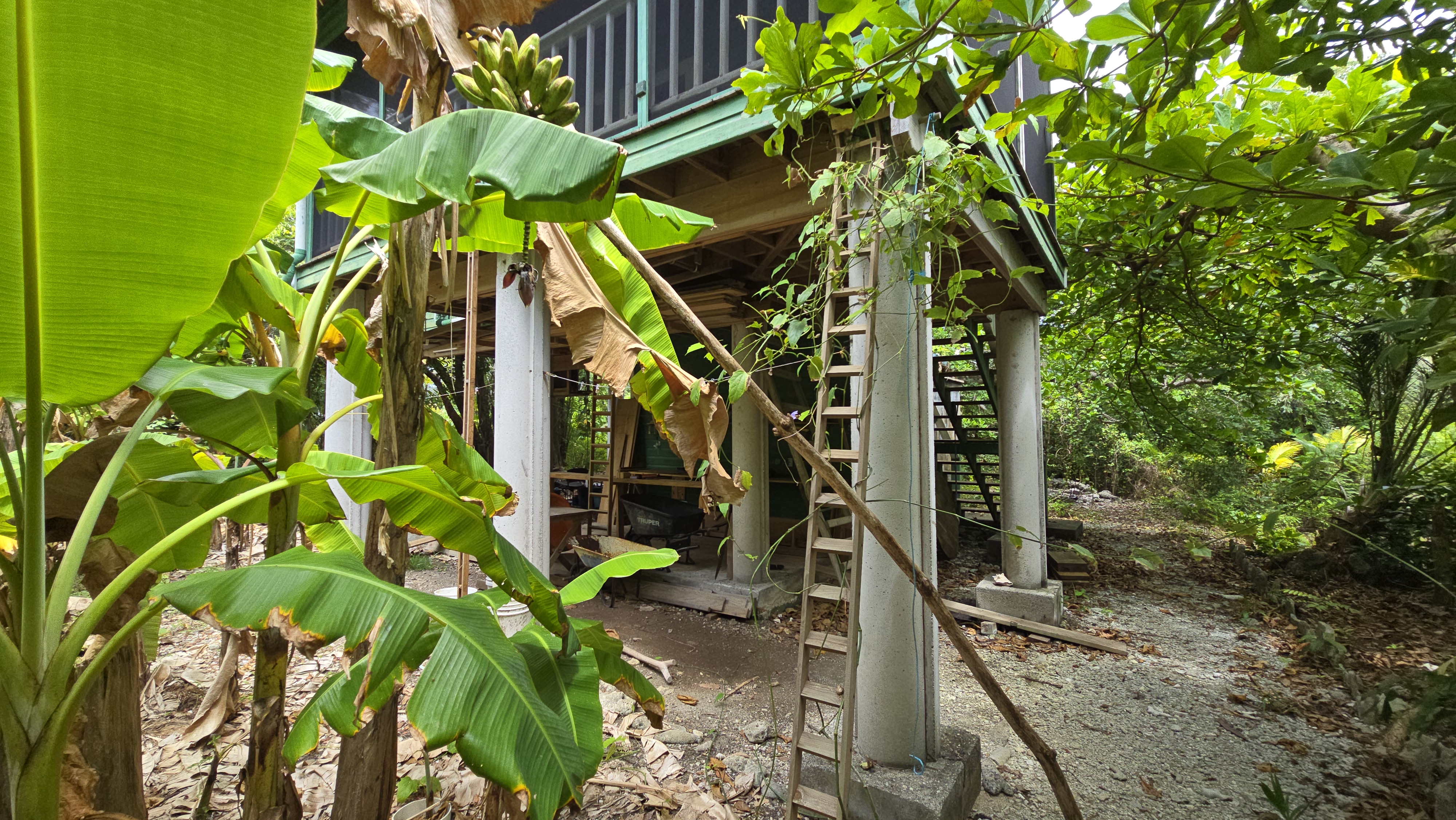 Listing ID: URE0701, Mariners Landing Utila, Bay Islands, HN - Green Haven Retreat, Photo #
