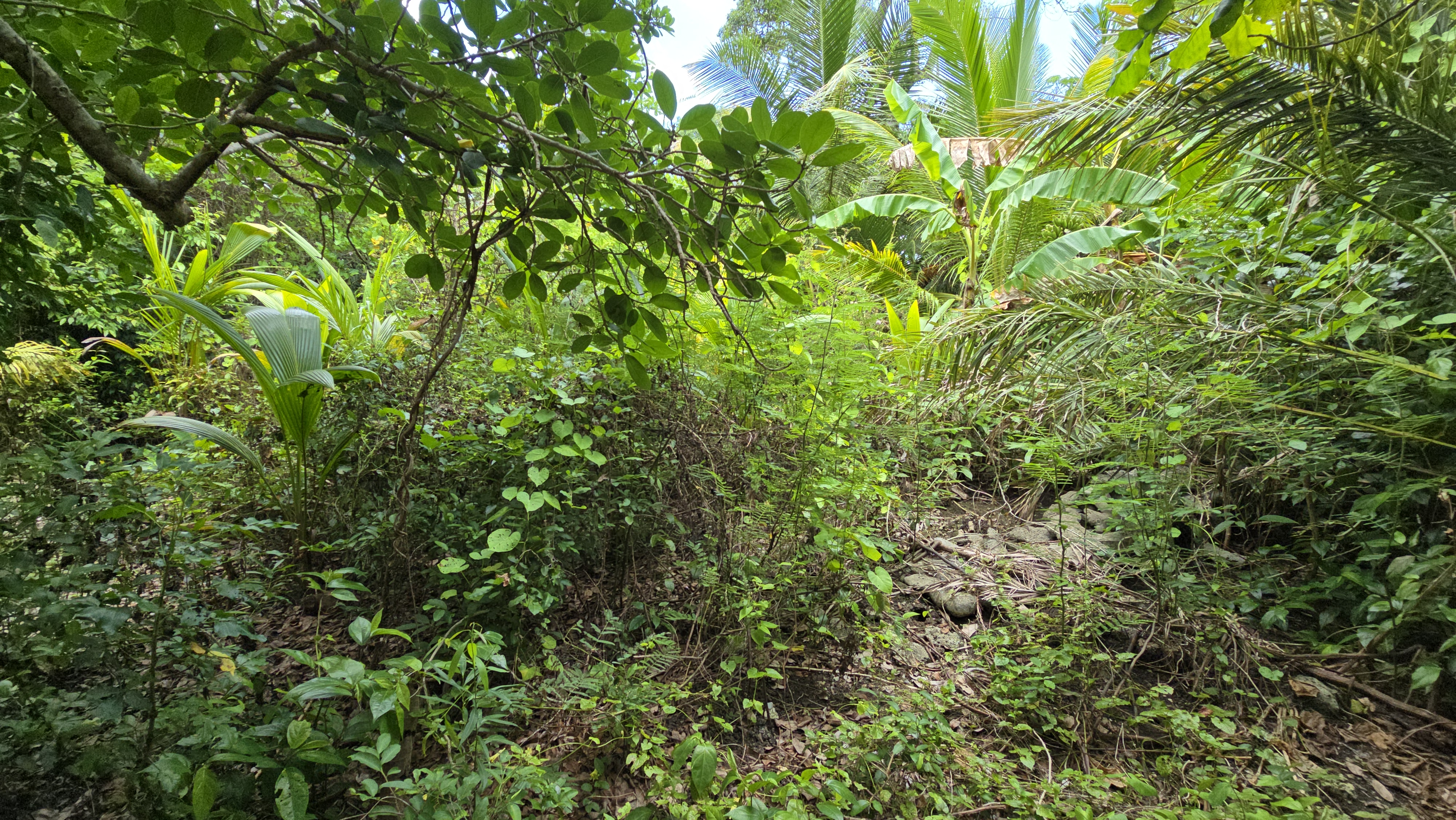 Listing ID: URE0701, Mariners Landing Utila, Bay Islands, HN - Green Haven Retreat, Photo #
