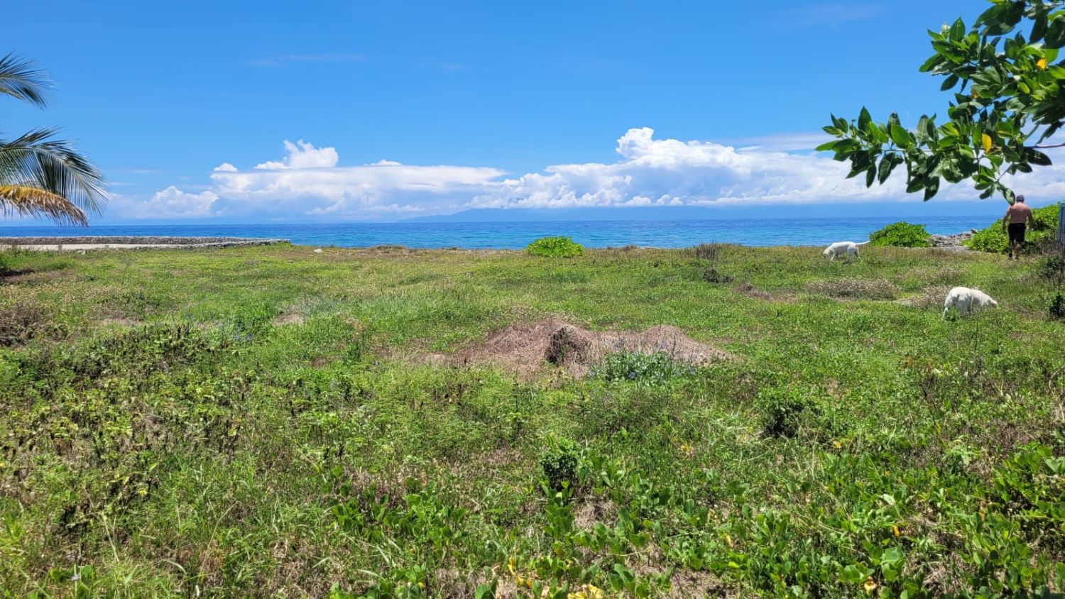 Listing ID: URE0703, Dolphin Run Utila, Bay Islands, HN - Dolphin Run Oceanfront Lot, Photo #